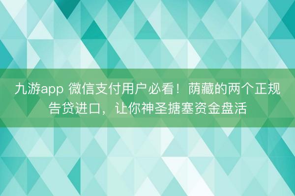 九游app 微信支付用户必看！荫藏的两个正规告贷进口，让你神圣搪塞资金盘活