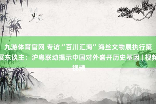 九游体育官网 专访“百川汇海”海丝文物展执行策展东谈主：沪粤联动揭示中国对外盛开历史基因 | 视频