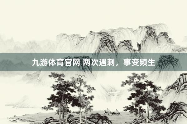 九游体育官网 两次遇刺，事变频生