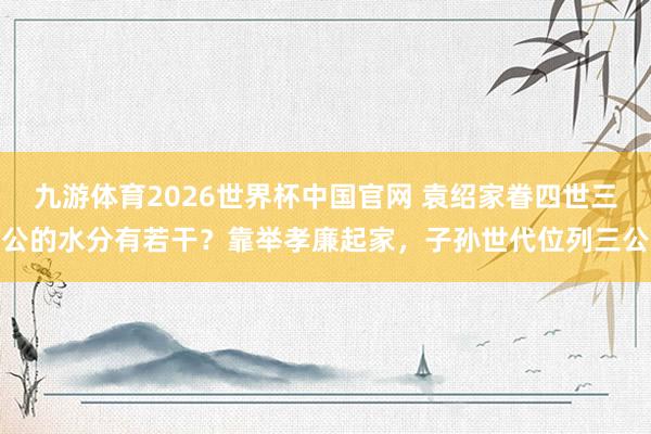 九游体育2026世界杯中国官网 袁绍家眷四世三公的水分有若干？靠举孝廉起家，子孙世代位列三公