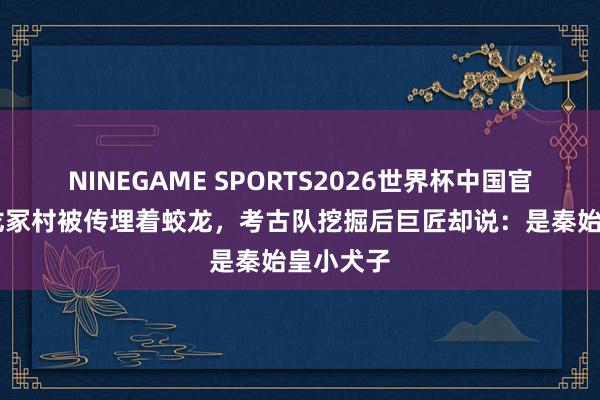NINEGAME SPORTS2026世界杯中国官方网站 龙冢村被传埋着蛟龙，考古队挖掘后巨匠却说：是秦始皇小犬子