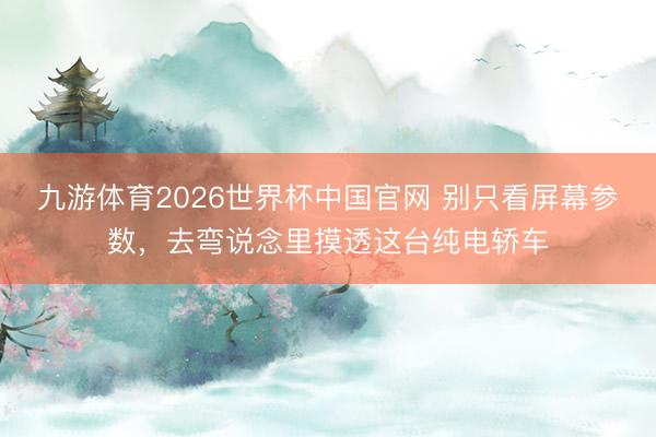 九游体育2026世界杯中国官网 别只看屏幕参数，去弯说念里摸透这台纯电轿车