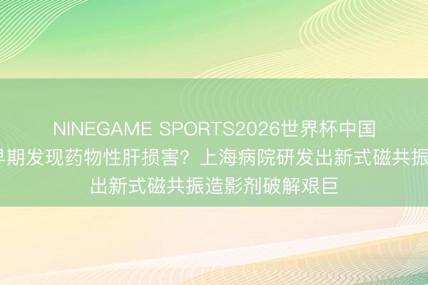 NINEGAME SPORTS2026世界杯中国官方网站 怎样早期发现药物性肝损害？上海病院研发出新式磁共振造影剂破解艰巨