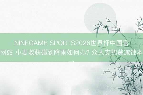 NINEGAME SPORTS2026世界杯中国官方网站 小麦收获碰到降雨如何办? 众人支招裁减蚀本→