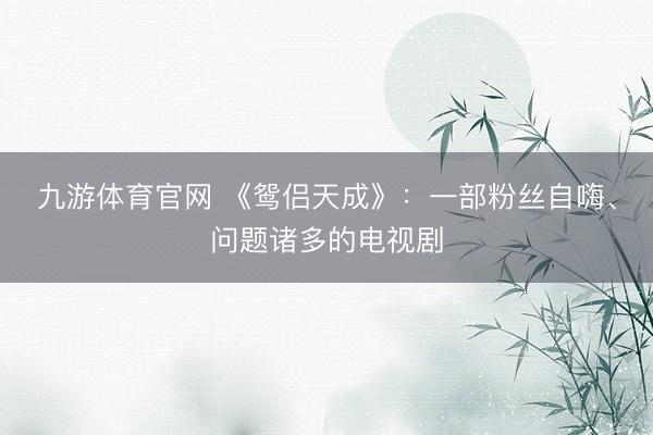 九游体育官网 《鸳侣天成》：一部粉丝自嗨、问题诸多的电视剧